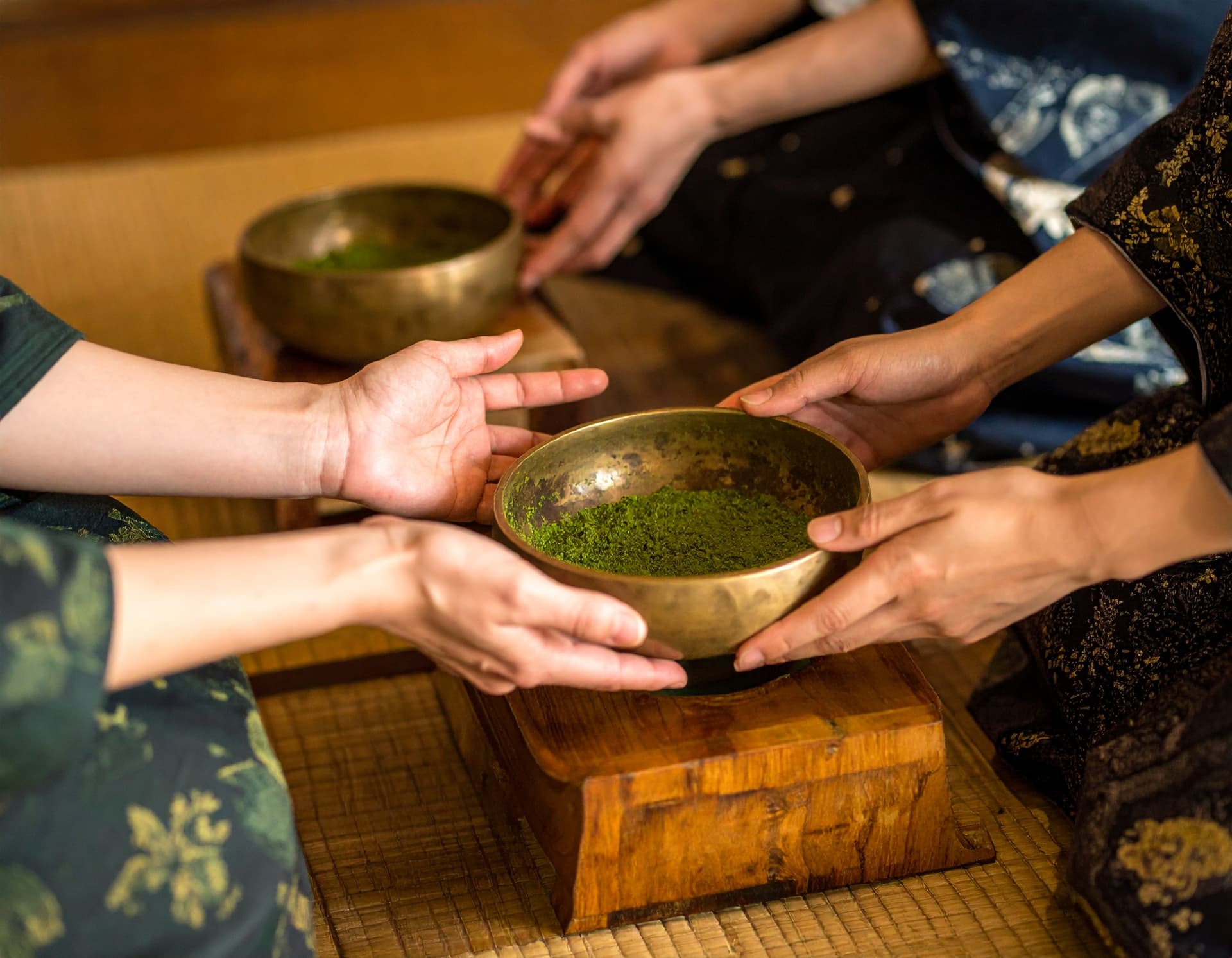 True Cultural Exchange